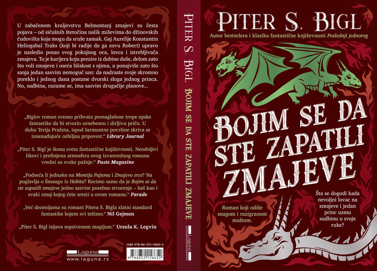 Bojim se da ste zapatili zmajeve, Bigl #2